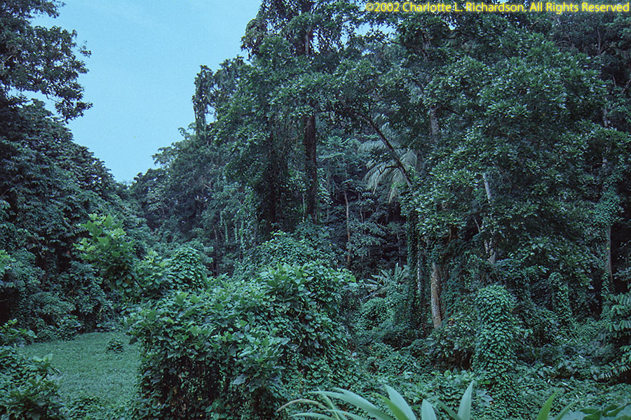 Sao Tome e Principe Photo Gallery